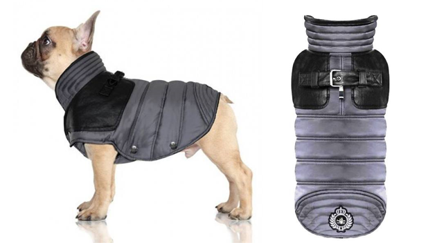 Hundebekleidung für Möpse