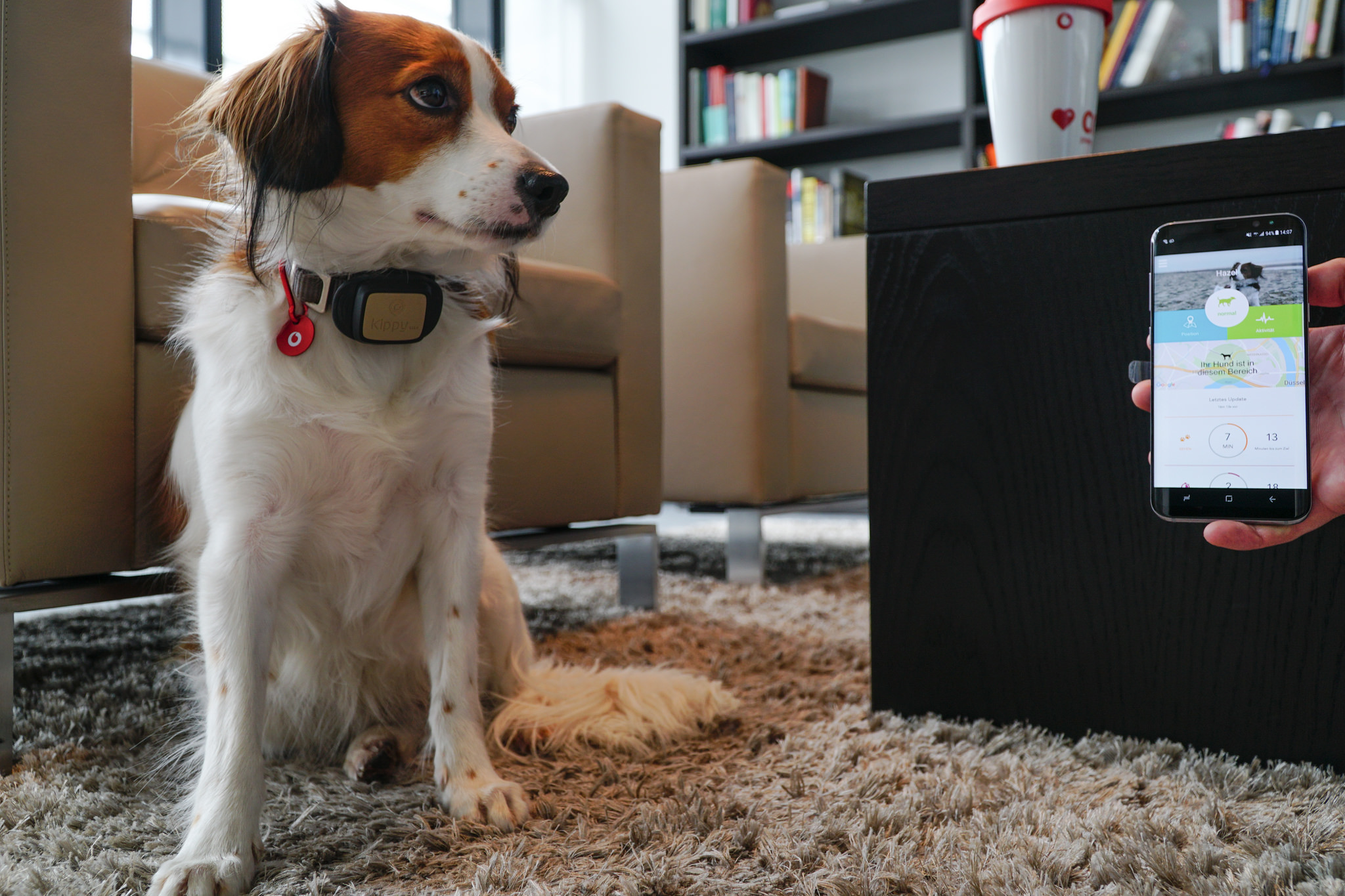 GPS Tracker für Hunde und Katzen