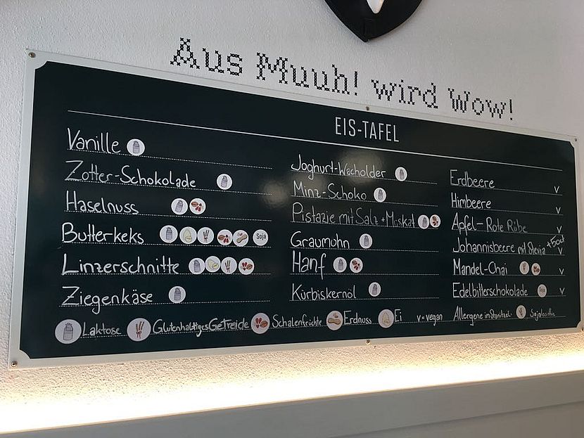 Eissalon Linz - Eisgreissler