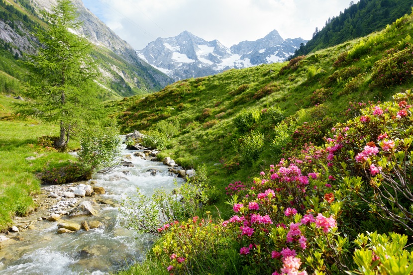 10 Coole Outdoor Ausflugsziele In Badenwrttemberg Globusliebe 10 Coole Outdoor Ausflugsziele In Badenwrttemberg Globusliebe