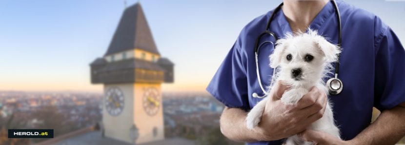 Tierarzt Notdienst Graz