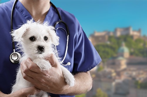 Dow Jones 30 Industrial 
							
								Index , DJIA visual data 7