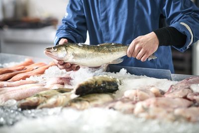 Verschiedene frische Fische und andere Meeresfrüchte auf Eis. Fisch kaufen Wien.