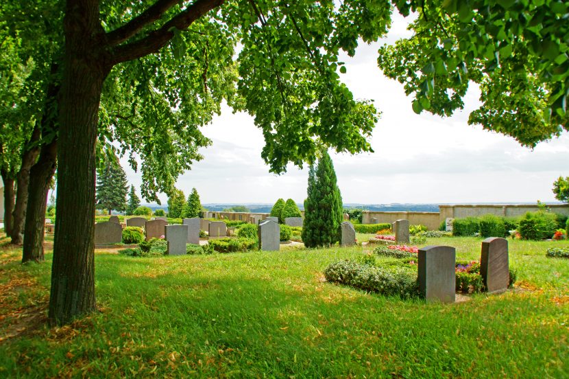 Haustier auf Tierfriedhof begraben