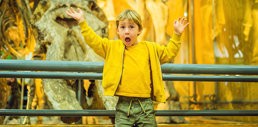 Kindermuseum Wien: Ein Kind im Naturhistorischen Museum in Wien vor einem Dinousaurier-Skelett.