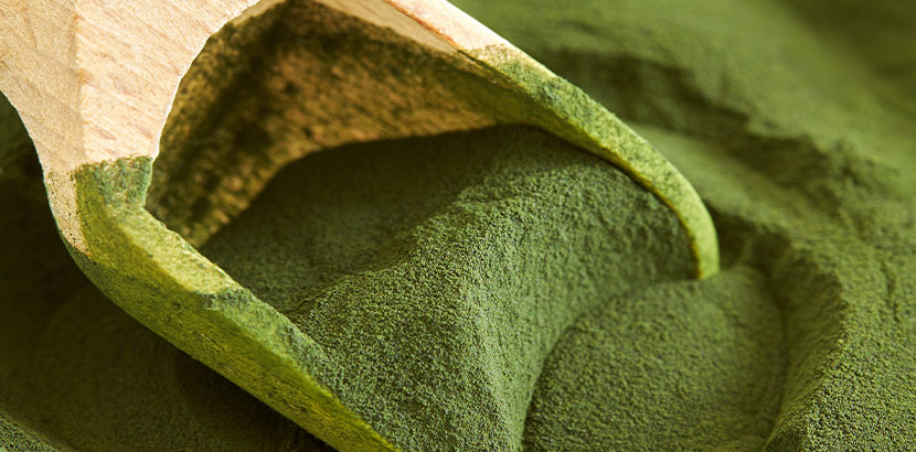 Superfood Chlorella als grünes Pulver