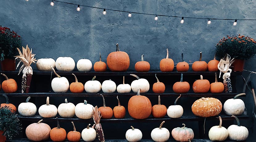 Halloween Wien Kinder