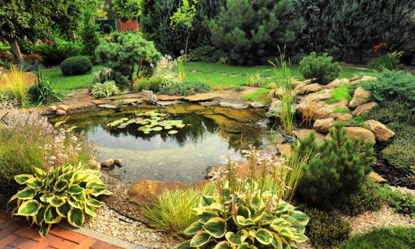 Wunderschönes grünes Biotop mitten in einem professionell angelegten Garten. Was darf Gartenplanung kosten?