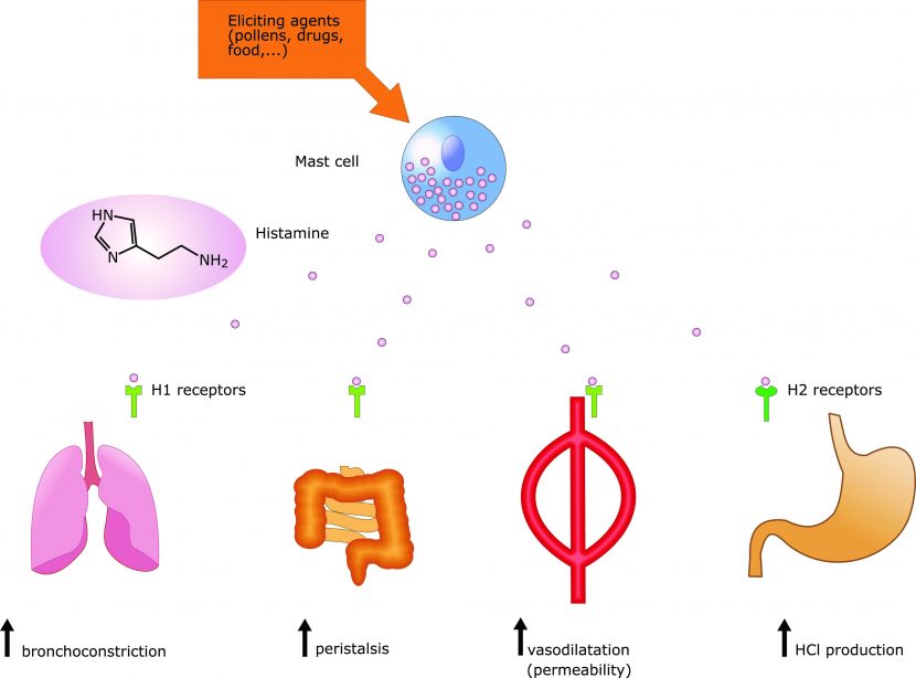 Mehlmilben bekämpfen