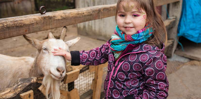 Kleines Mädchen, das beim Wandern in Niederösterreich das Kleintiergegehege besucht und eine Ziege streichelt.
