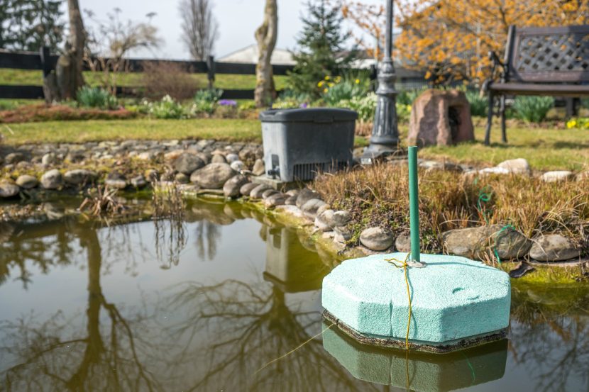 grüner Eisfreihalter aus Styropor schwimmt auf Gartenteich