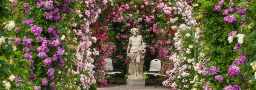 Römische Statue unter einem wunderschönen bunten Rosenbogen. HEROLD verrät, wie Rosen schneiden gelingt.