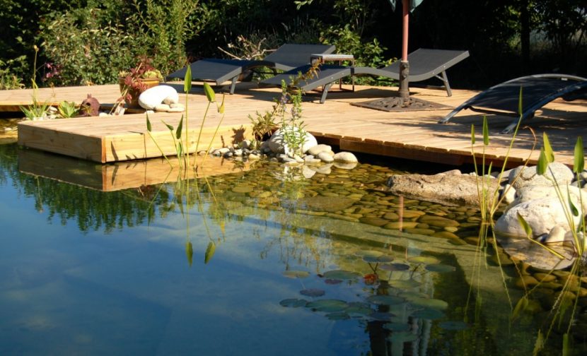 Schwimmteich bauen Was kostet der Badeteich im Garten? HEROLD.at