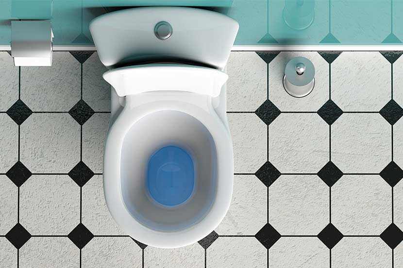 Klo Verstopft Die Besten Tipps Wenn Die Toilette Verstopft Ist Herold