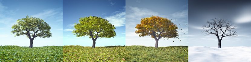Wechselbeschwerden lindern, Menopause Symptome