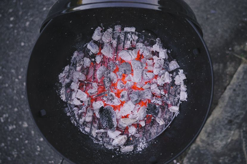 Welcher Grill