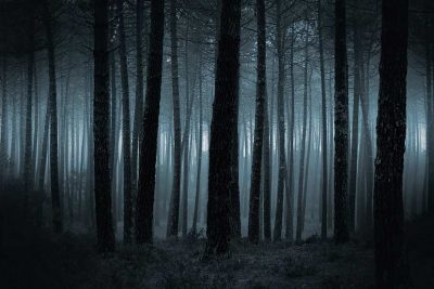 Alptraum - finsterer Wald