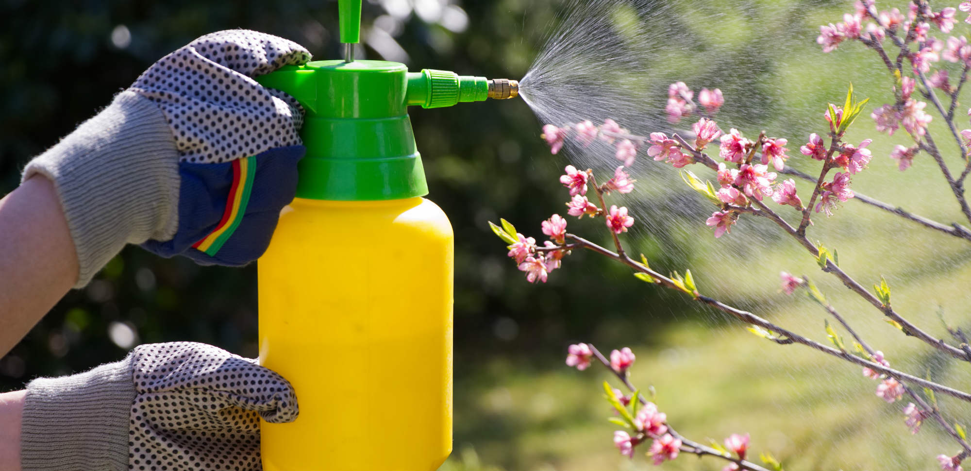 Fungizide Arten, Wirkungsweise und Gefahren HEROLD.at