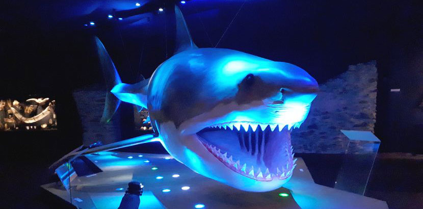 Ein lebensgroßes Modell von einem Hai. Schlechtwetterprogramm Linz