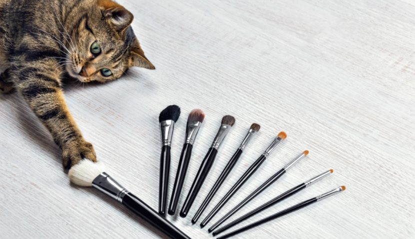 Tierversuchsfreie Kosmetik, vegane Kosmetik