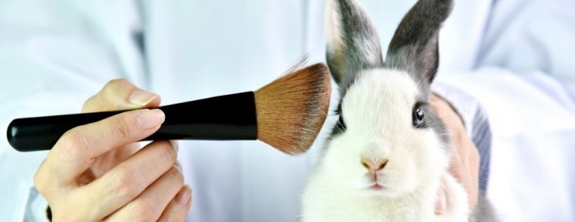 Tierversuchsfreie Kosmetik, vegane Kosmetik wird immer gefragter