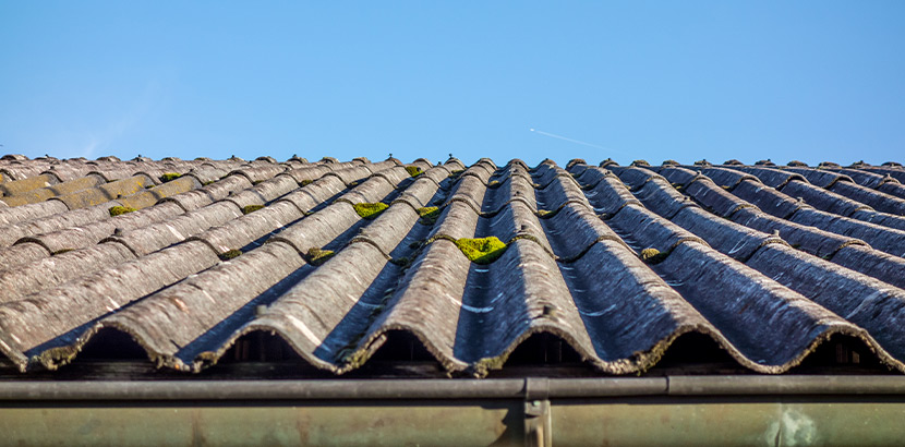 Moos auf Eternit Dach reinigen: Ein Eternitdach mit Moos
