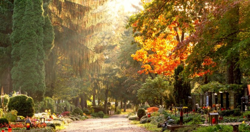 Wunderschöner Waldfriedhof mit alten Bäumen im Hintergrund und Gräbern im Vordergrund in der Herbstsonne. Feuerbestattung Kosten Wien.