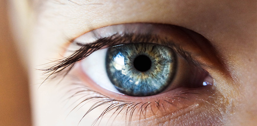 Auge Kontaktlinse