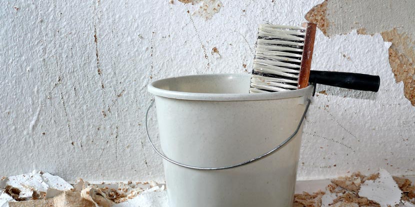 Ein breiter Pinsel, auch Quast genannt, hängt in einem Kübel vor einer Wand, an der alte Tapete entfernt wird.