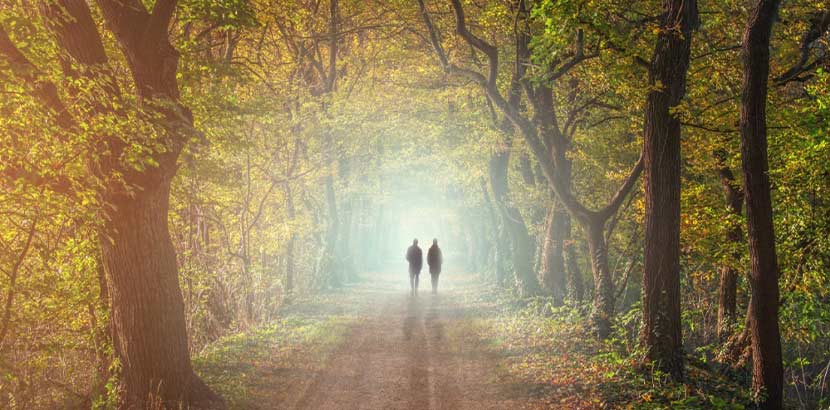 Zwei Menschen, die in einer herbstlichen Allee spazieren gehen. Trauerbegleitung Wien.