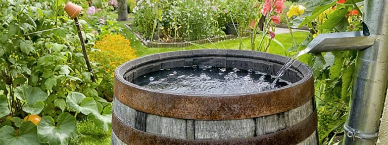 Zisterne kaufen! Warum Regenwassertank im Garten? HEROLD.at