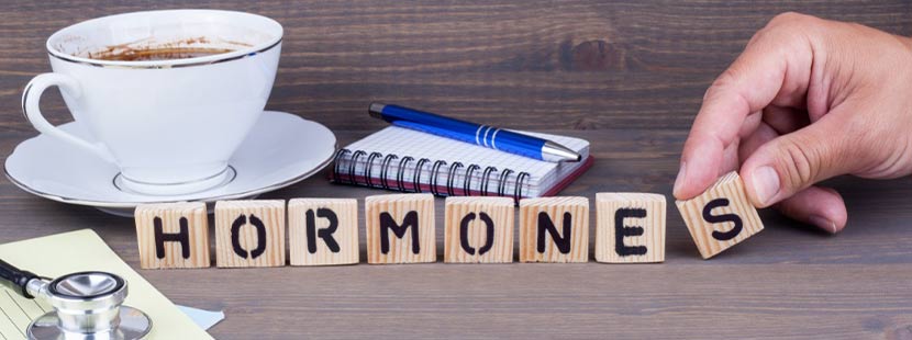 Eine Hand, die das Wort HORMONES mit Bauklötzen legt. Bei der Endokrinologie spielen Hormone eine entscheidende Rolle. Endokrinologe Wien