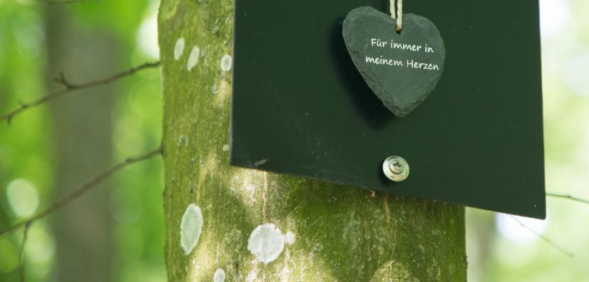 Plakette an einem Baum im Friedwald, der für eine Naturbestattung genutzt wurde.