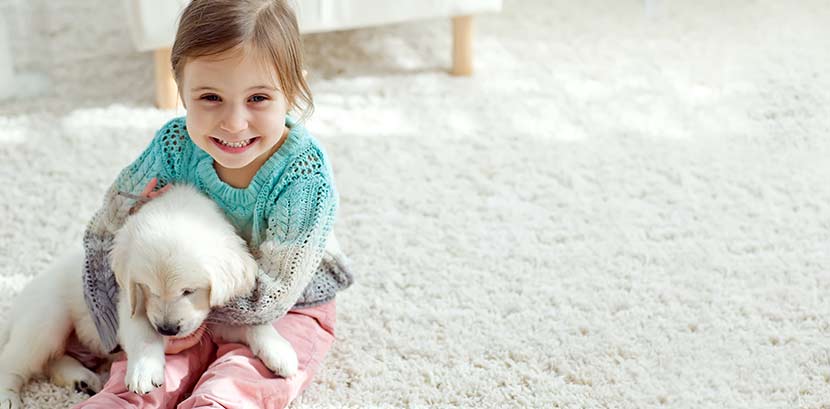 Teppichboden verlegen: Ein kleines Mädchen spielt mit einem Welpen auf einem Teppichboden.