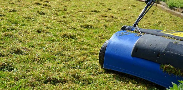 Rasen vertikutieren Warum, wann und wie? Herold Blog