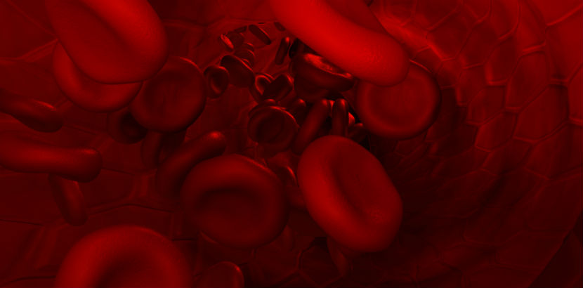 Leukämie: Blutzellen 
