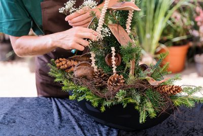 Allerheiligengesteck selber machen: Ein Mann bindet ein modernes Allerheiligengesteck mit Tannenzweigen und Pinienzapfen