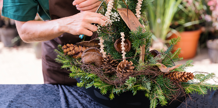 Allerheiligengestecke selber machen: Ein Mann bindet ein modernen Grabschmuck mit Tannenzweigen und Pinienzapfen