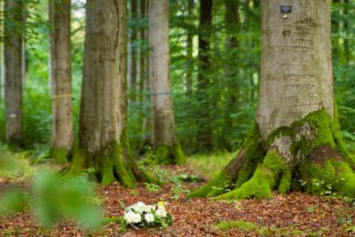 Gesteck aus weißen Rosen in einem Waldstück. Baumbestattung Österreich.