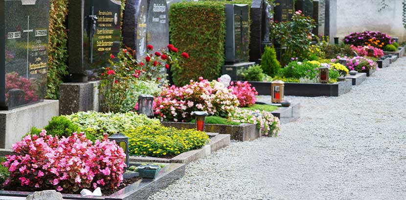 Reihe von Gräbern mit buntem Blumenschmuck am Friedhof. Bestatter Wien.