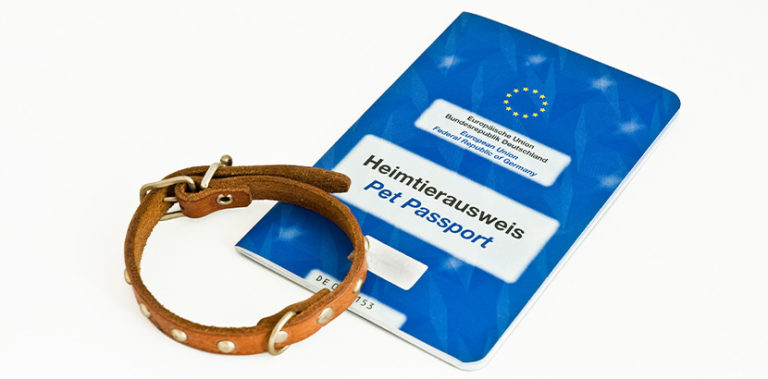 EU Heimtierausweis | Der Reisepass für Hund und Katze - HEROLD