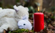 Sternenkinder: Kerze und Stofftier auf gefallenem Laub.