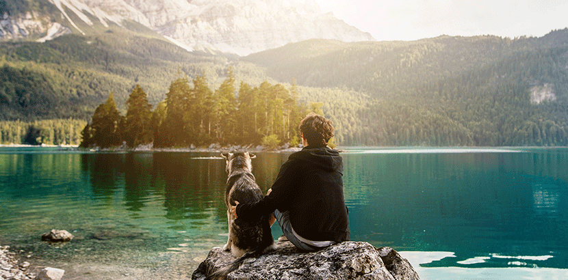 Urlaub mit Hund in Österreich Top 10 Hotels HEROLD BLOG