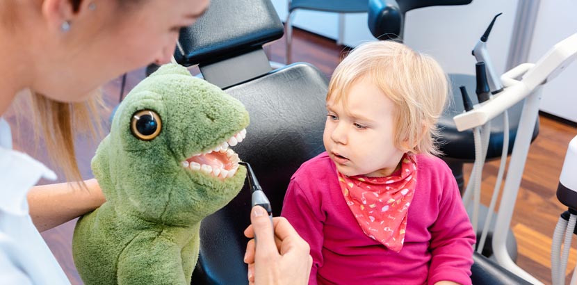 Ein Kinderzahnarzt zeigt einem Patient an einem Stofftier wie ein Werkzeug funktioniert.
