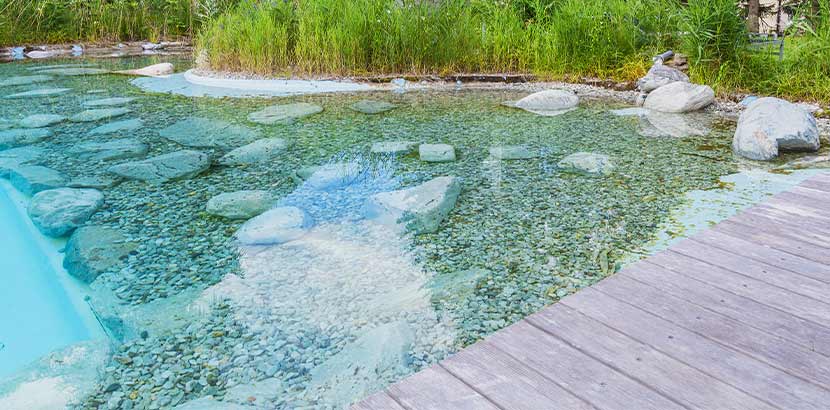 Ein Teich zum Schwimmen mit klarem Wasser.