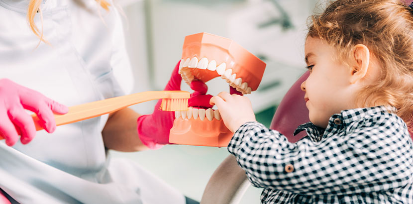 Zahnärztin verwendet Zahnbürste und Kiefer-Modell bei Zahnputz-Schulung.