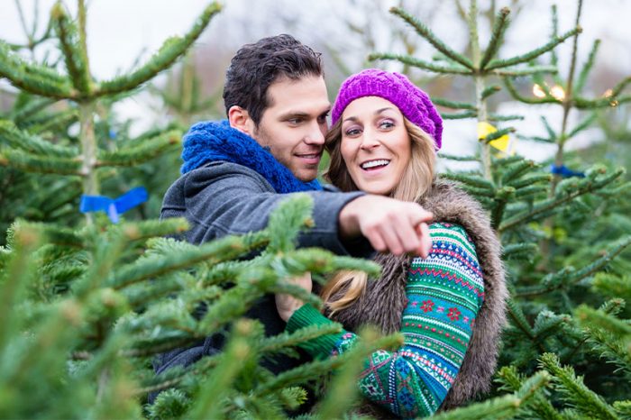 Paar mittleren Alters sucht gemeinsam einen Christbaum aus. Mann zeigt der Frau einen Baum.