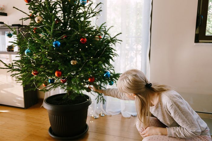 junge blonde frau schmückt lebenden Christbaum im Topf.