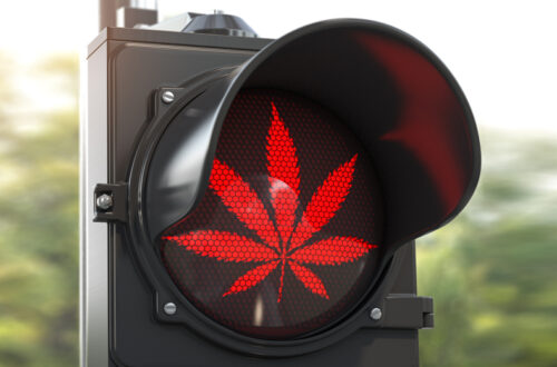 Rote Ampel zeigt Hanfblatt als Symbol für Verbot von CBD Produkten bei Google Ads
