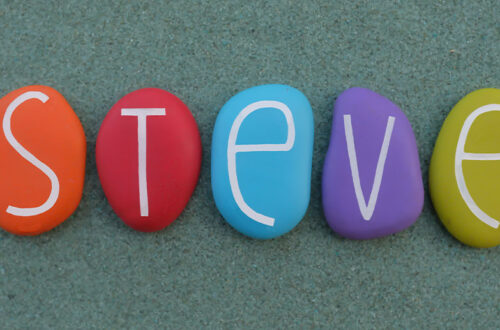 Suchmaschine Steve